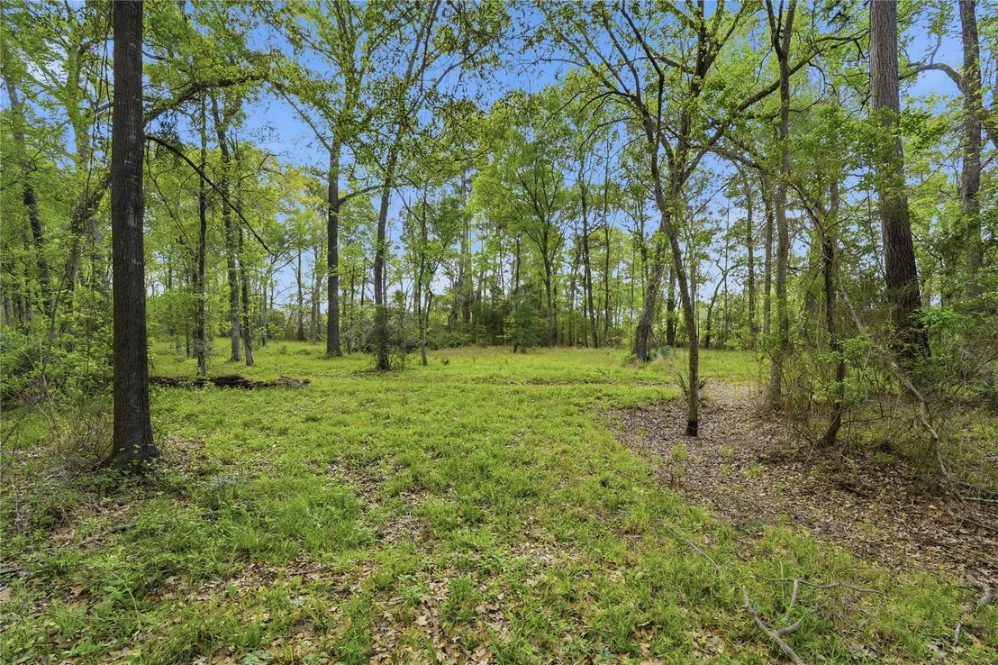 Photo of 19909 Big Oak Drive