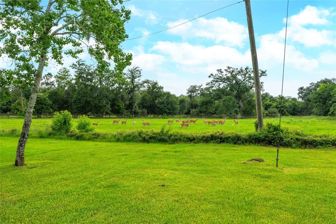 Photo of 17126 Hamill Drive