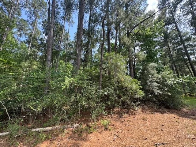 Photo of 91 Meadow Lake Drive