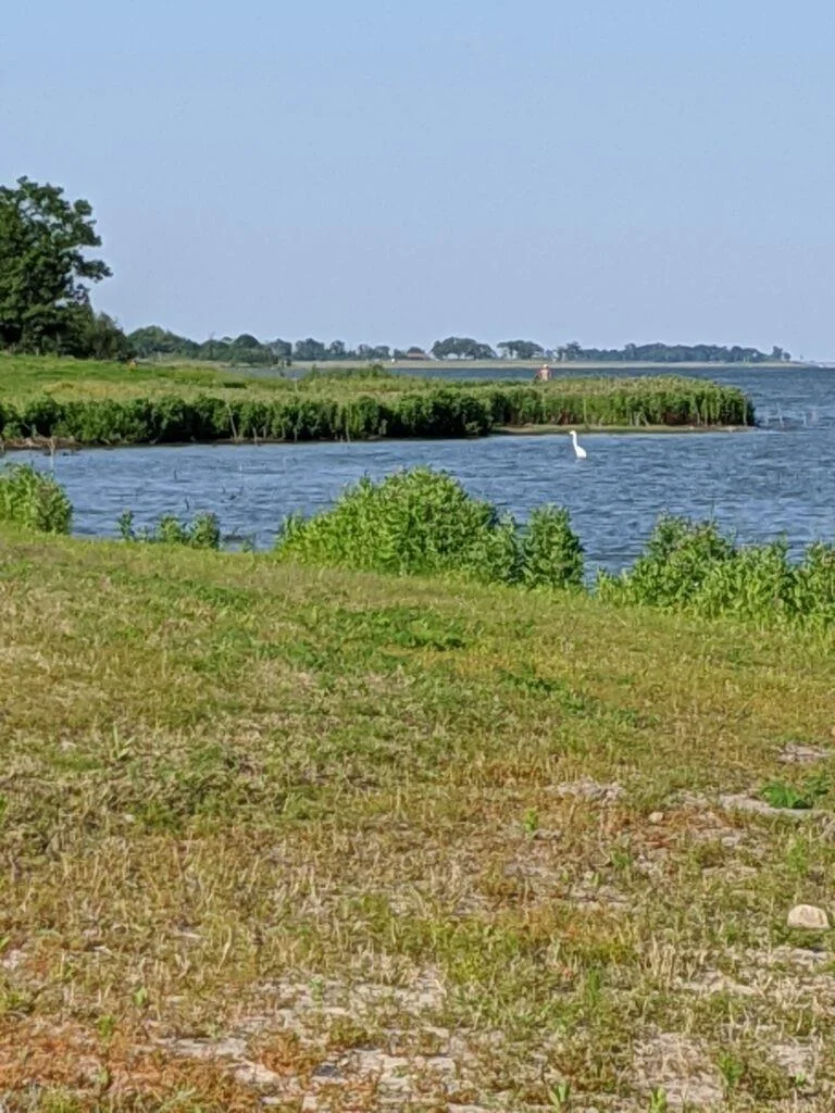 Photo of 4706 County Road 415