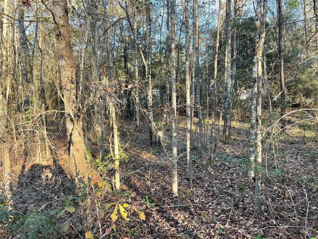 Photo of 00 Wright Boulevard