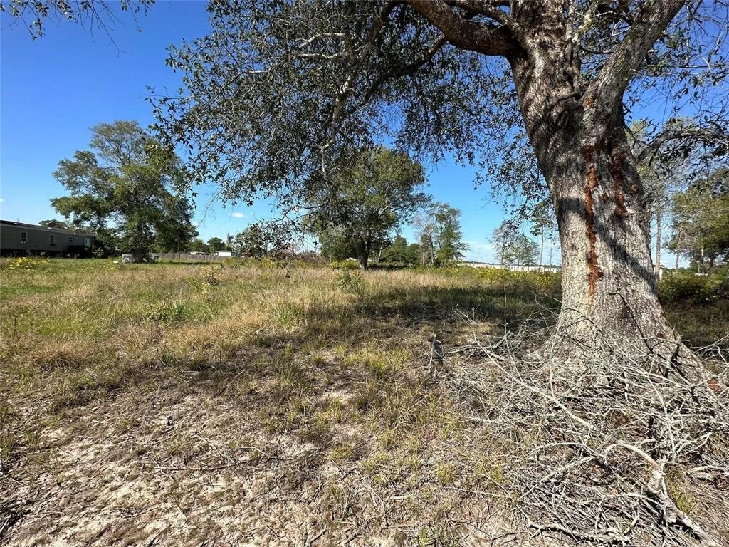 Photo of 347 County Road 5043