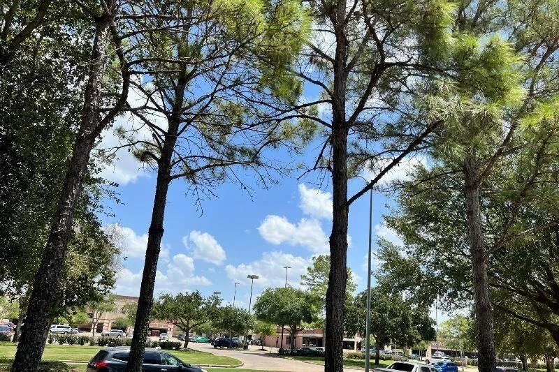 Photo of 3718 Sunset Manor Lane