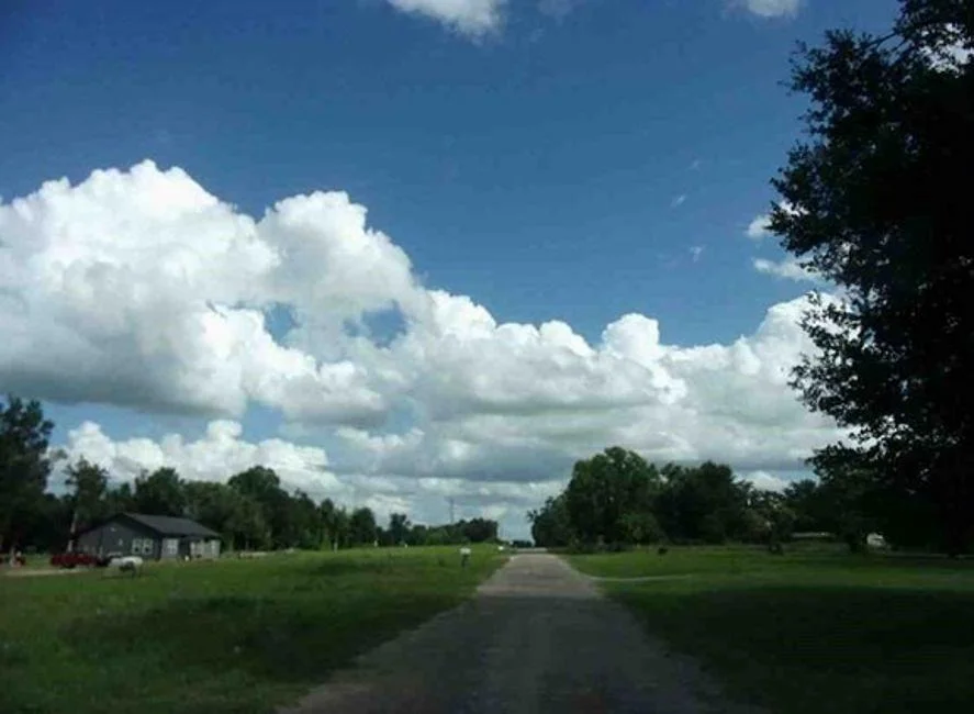 Photo of 115 Cr 681