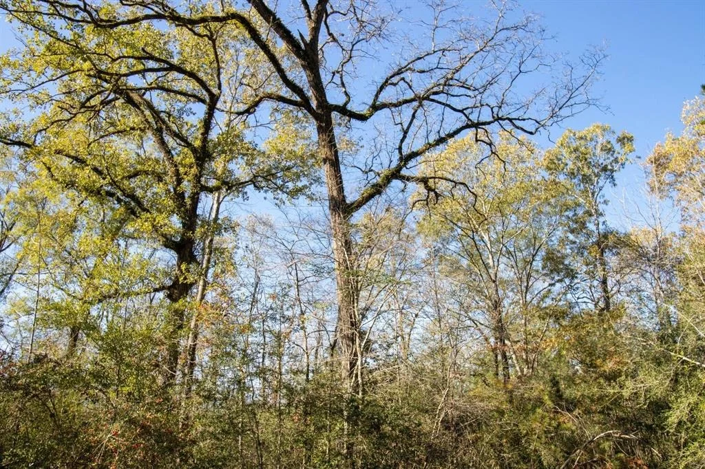 Photo of TBD 2 Robert Jones Rd