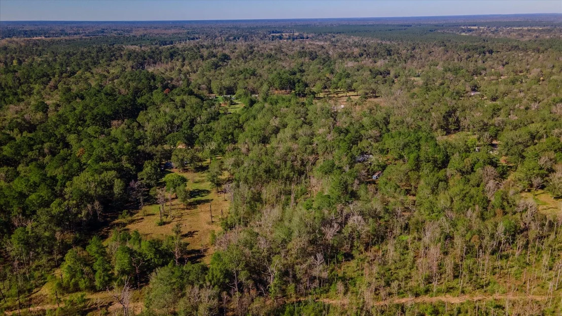 Photo of 1234 County Road 2145