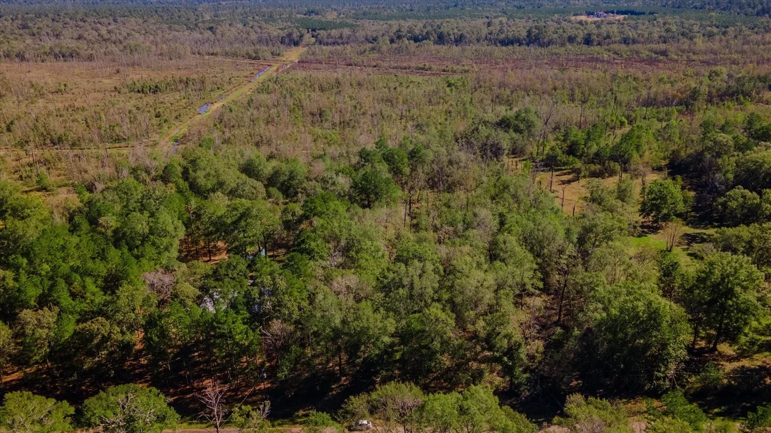 Photo of 1234 County Road 2145