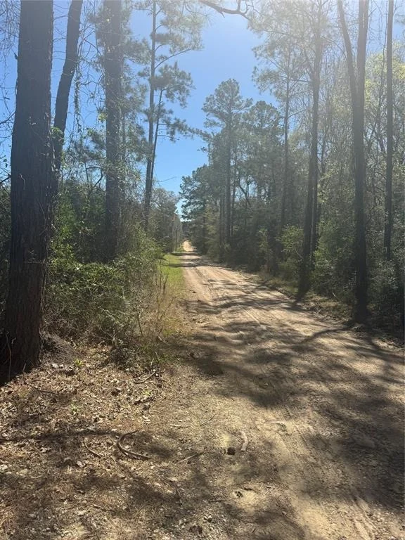 Photo of 0 Forgotten Forest Drive