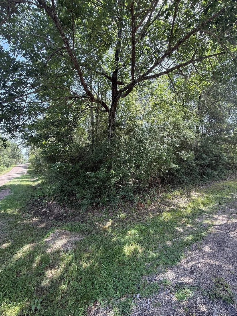 Photo of TBD Idlewilde