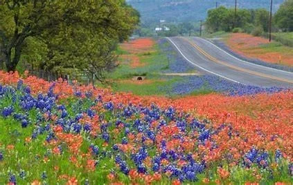 Photo of 724 Eagle Lake Road