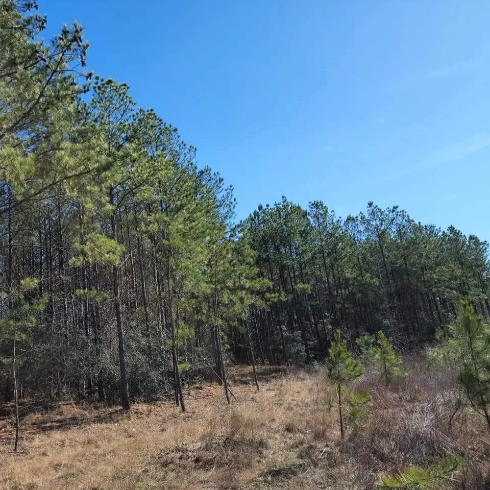 Photo of 26827 Us-59 Road