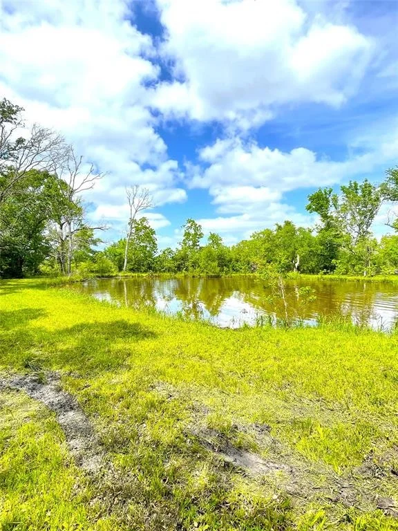 Photo of 5135 County Road 288