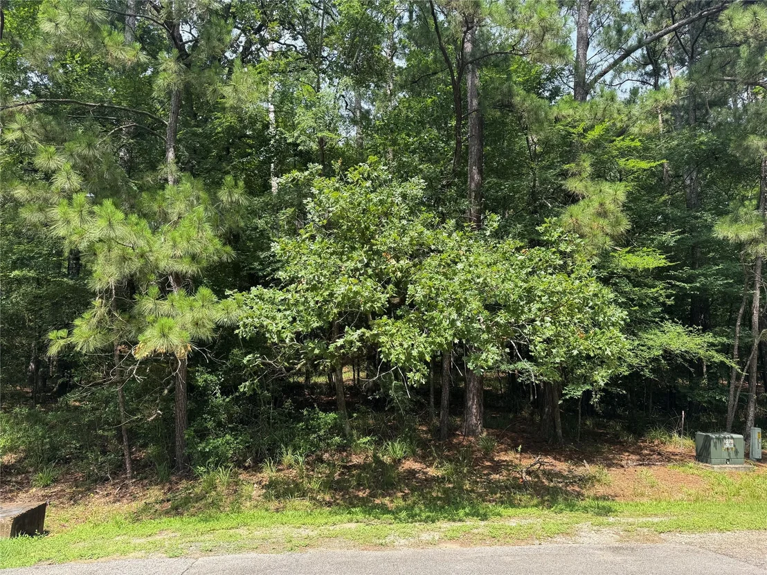Photo of 75 Green Tree Drive