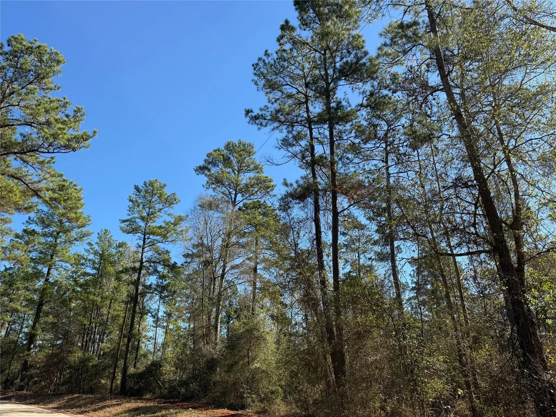 Photo of T-1 Eldridge Road