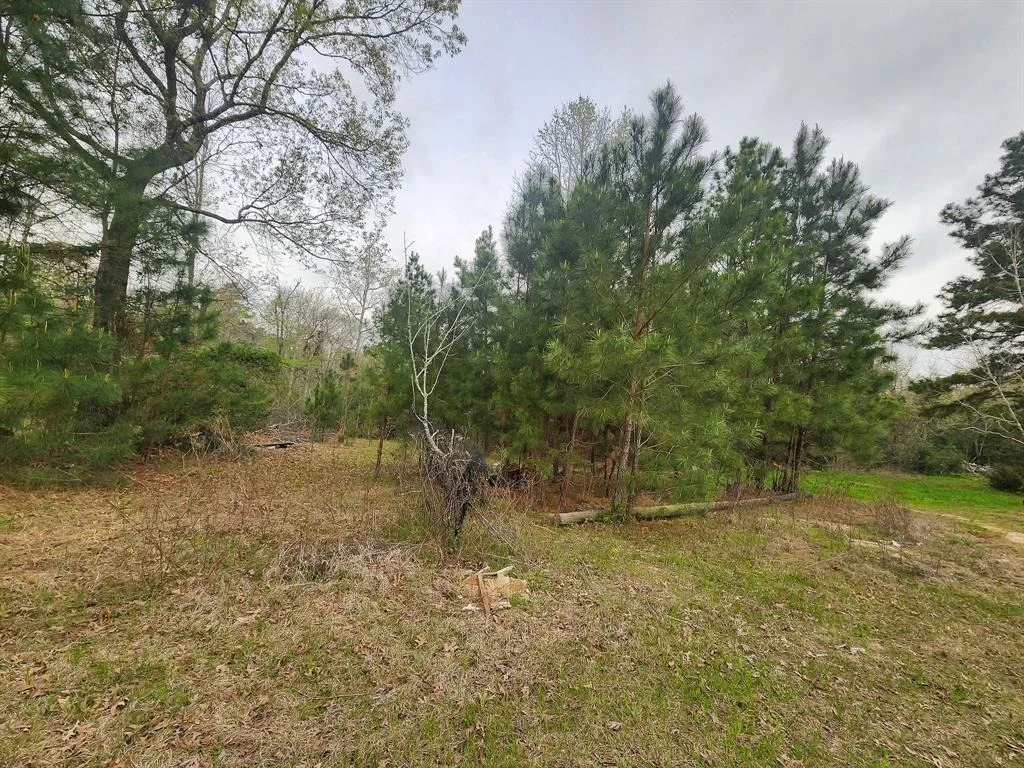 Photo of 434 Forest Hills Loop