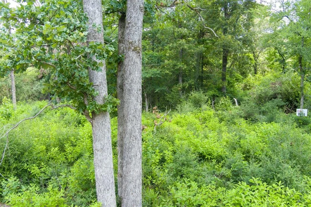 Photo of 6837 Private Road 1280