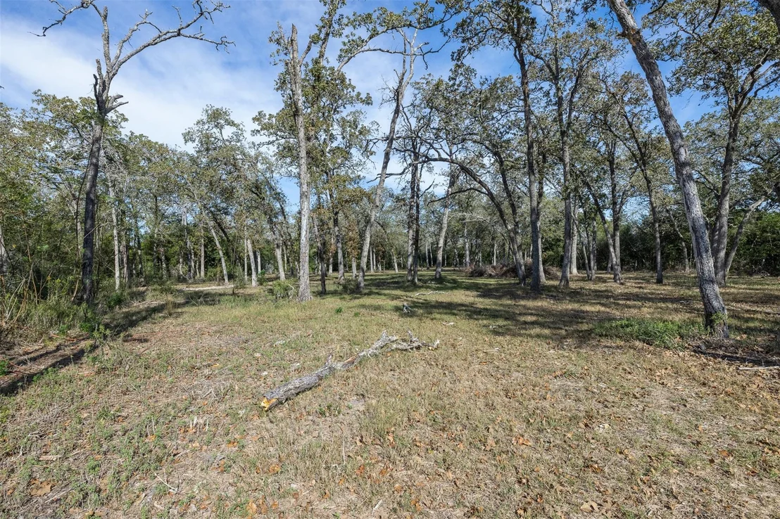 Photo of 217 Timberlake Drive
