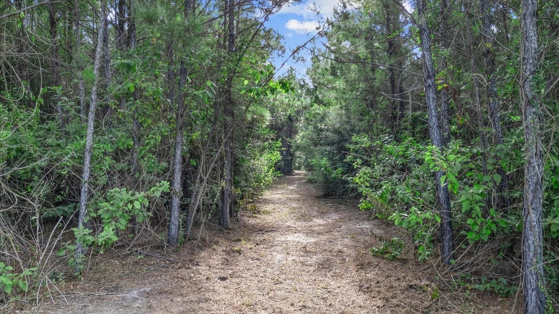 Photo of 16230 Ridge Oak Road