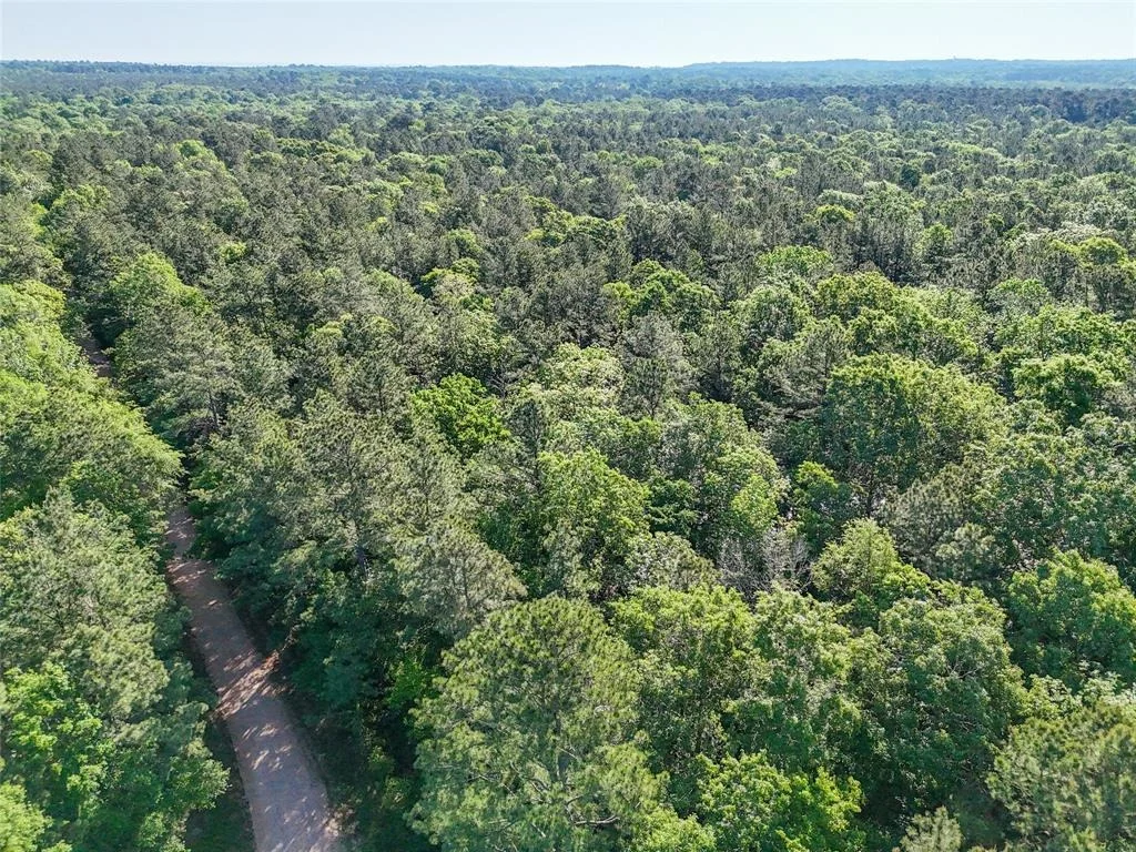 Photo of 000 Trail Ride Road