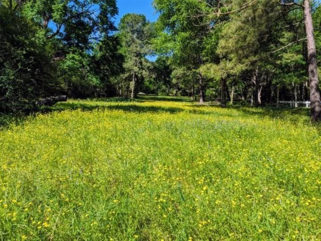 Photo of 2700 Spring Branch Road