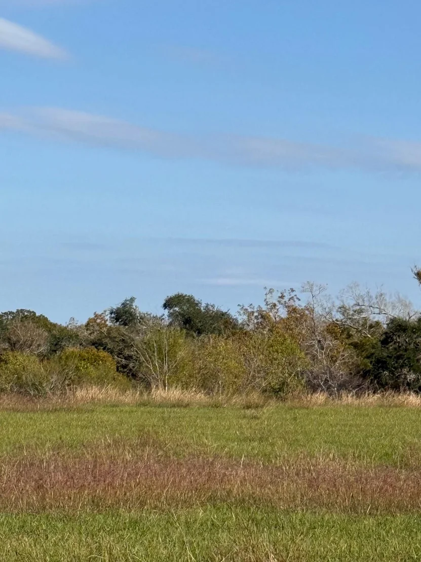 Photo of 000 River Hollow Way