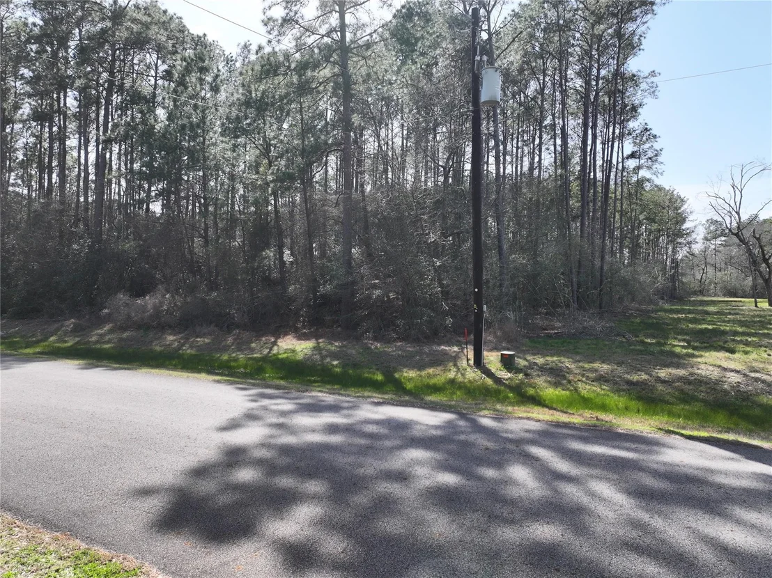 Photo of 17424 Woodforest Dr