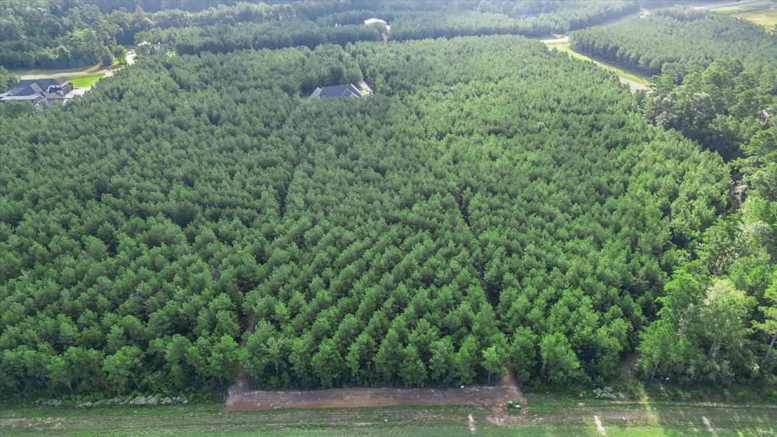 Photo of 16230 Ridge Oak Road