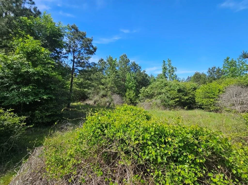 Photo of tbd Hollybrook Drive