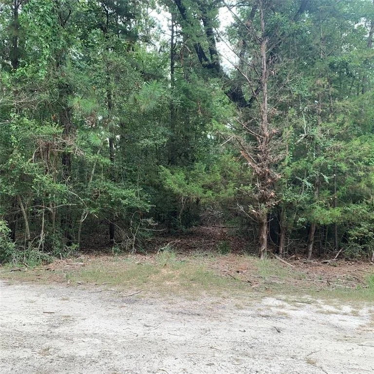 Photo of TBD Post Oak Ct