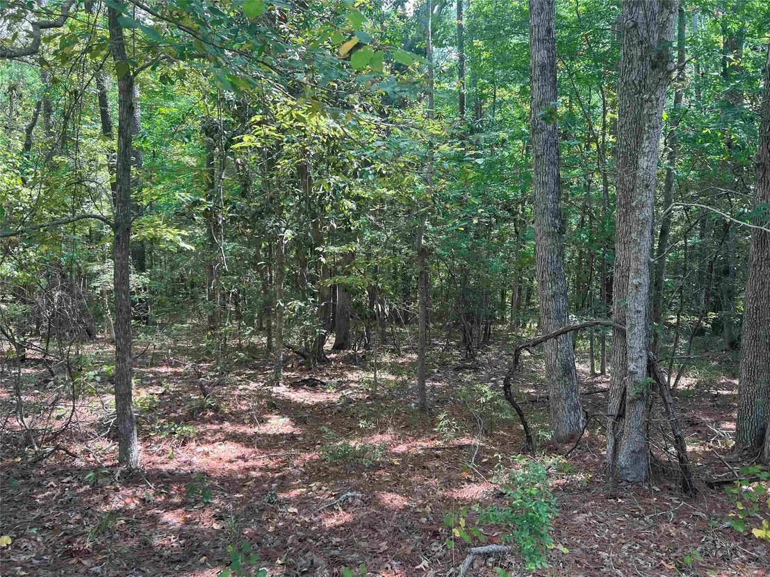 Photo of 57 Shank Drive
