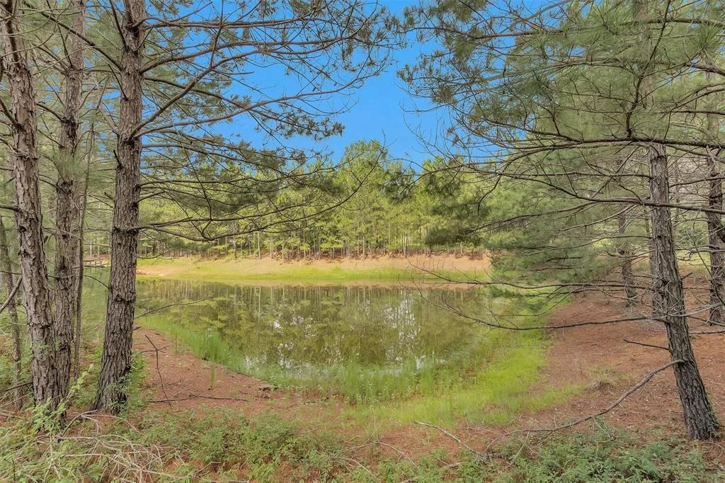 Photo of 18721 Dalton Willis Drive