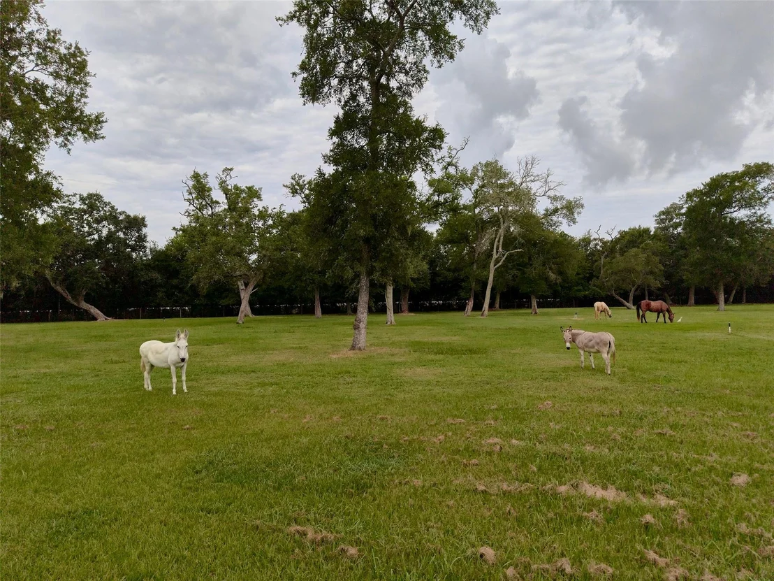 Photo of 4797 County Road 571a