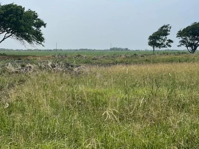 Photo of 280 County Road 470