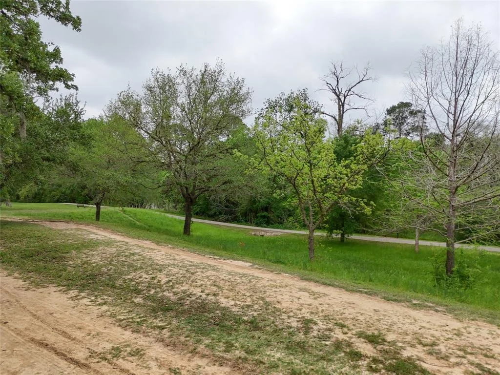 Photo of 14306 Twisted Oak Lane