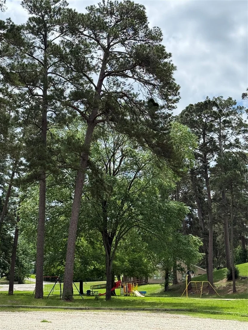 Photo of 199 Apple Tree
