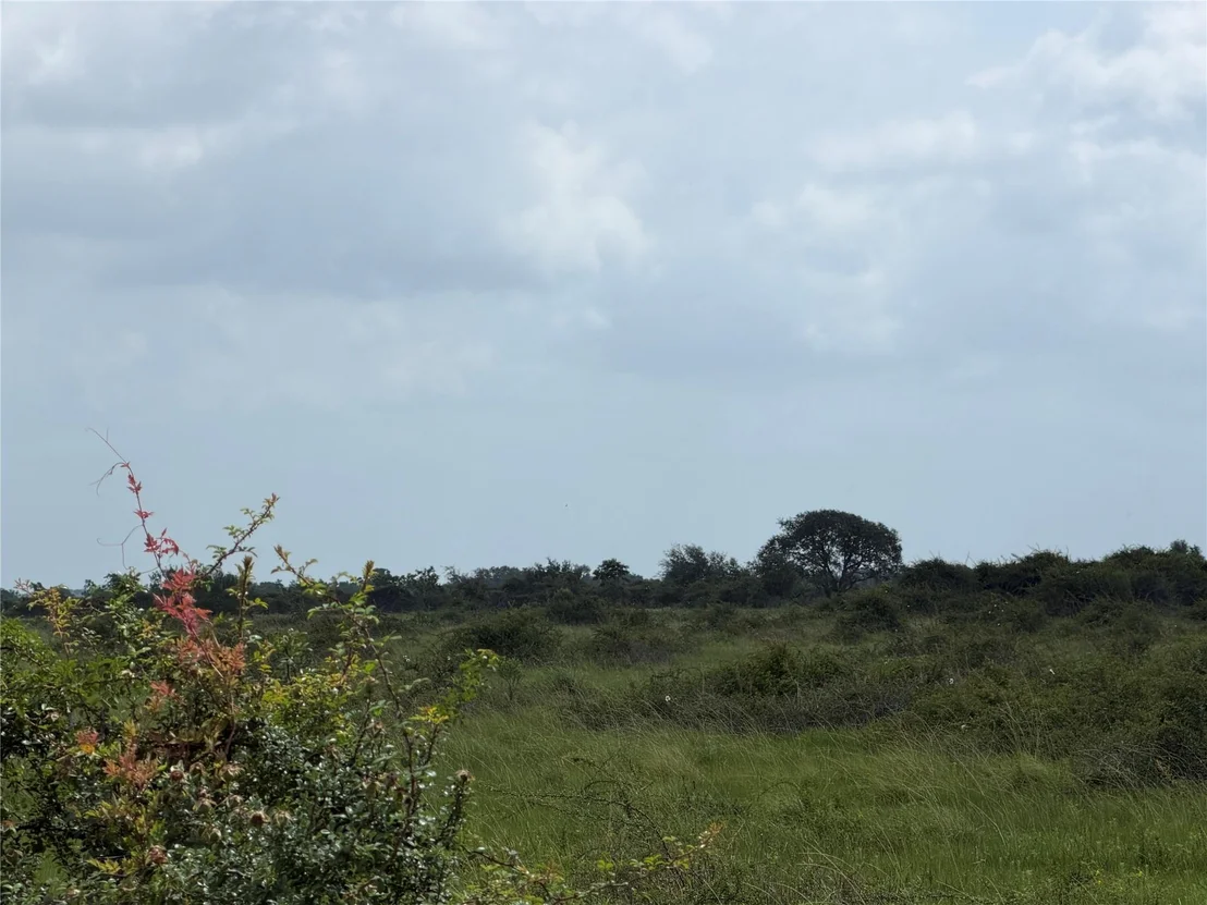 Photo of 0 Fm 616