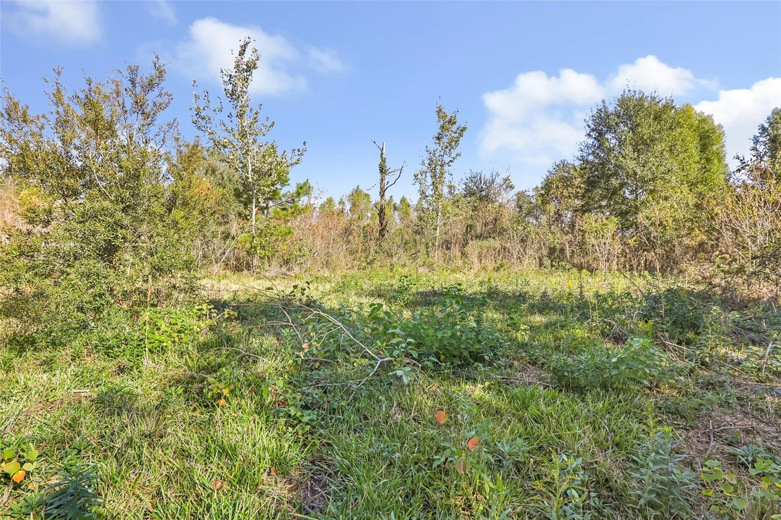 Photo of 576 County Road 614