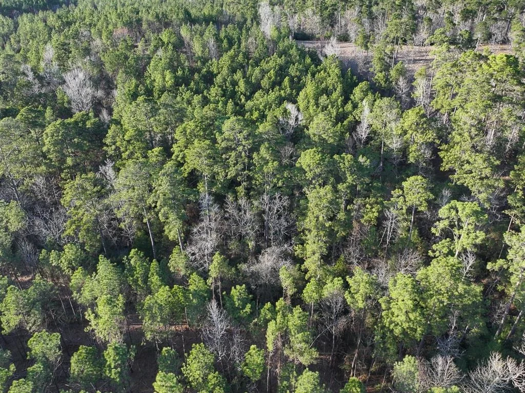 Photo of TBD Off Fm 355