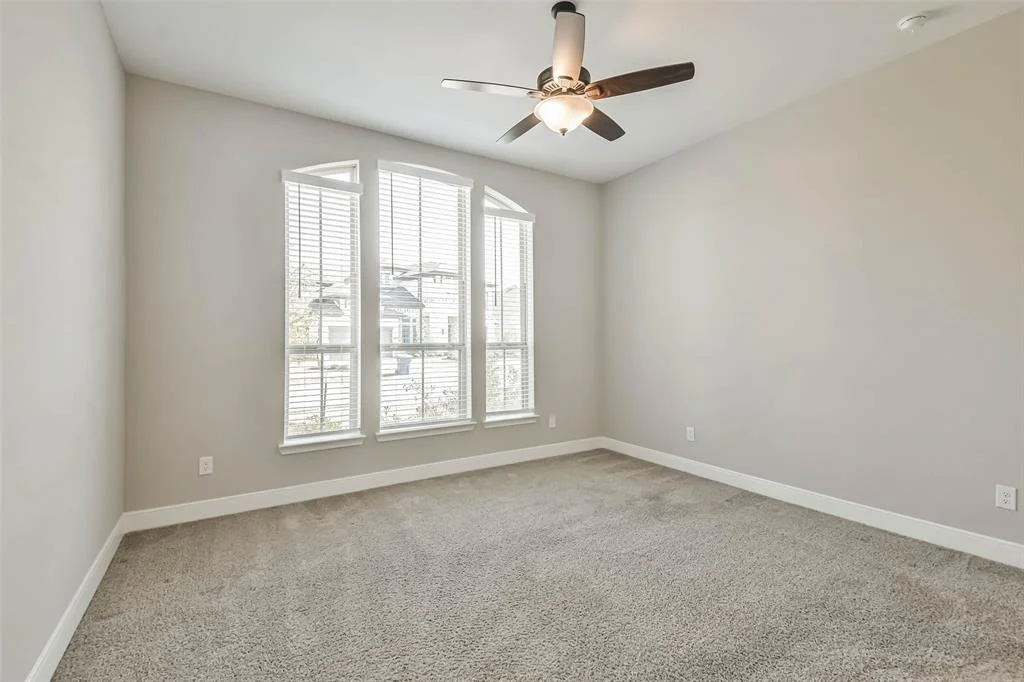 Photo of 11131 Heartleaf Aster Way