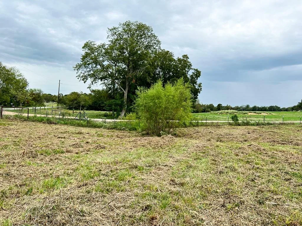 Photo of Lot 4 Cr 319