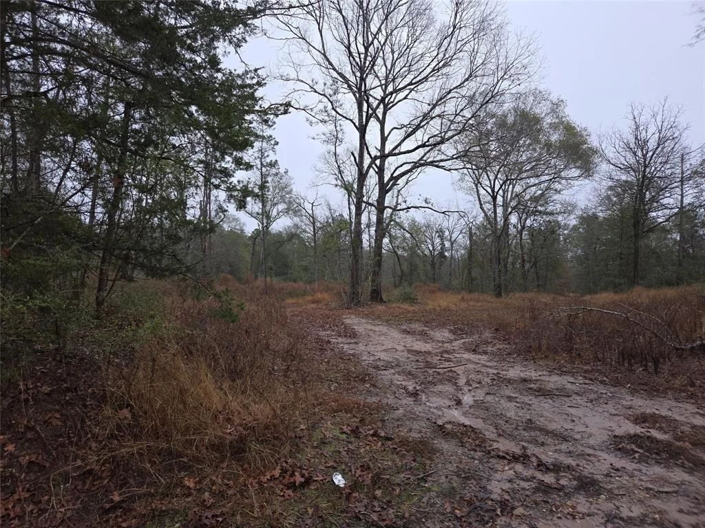 Photo of 4572 County Road 3610
