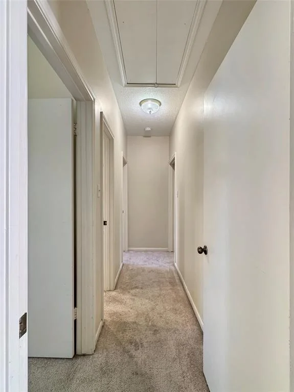 Photo of 10922 Lasso Lane