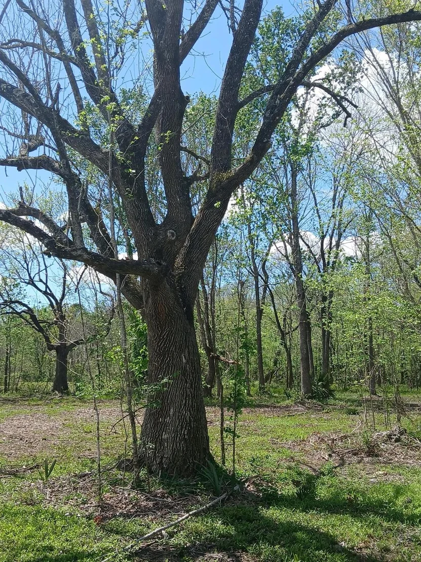 Photo of 248 County Road 185