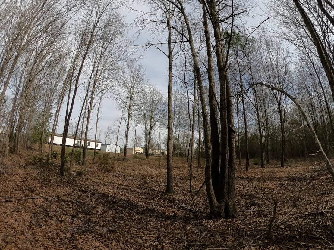 Photo of 141 Tanglewood Drive