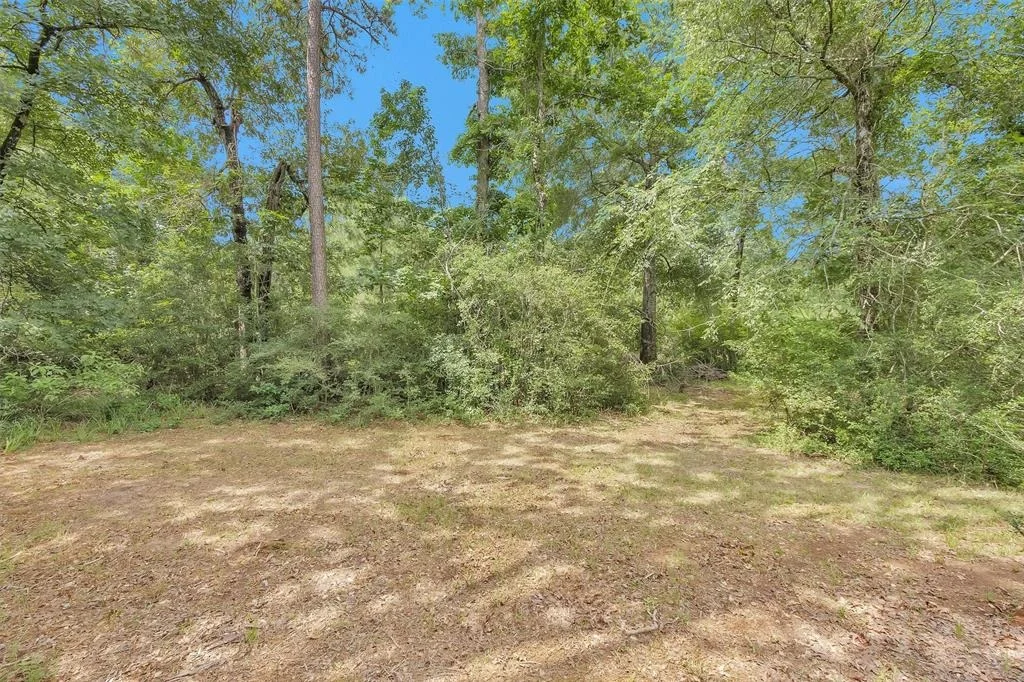 Photo of 18721 Dalton Willis Drive
