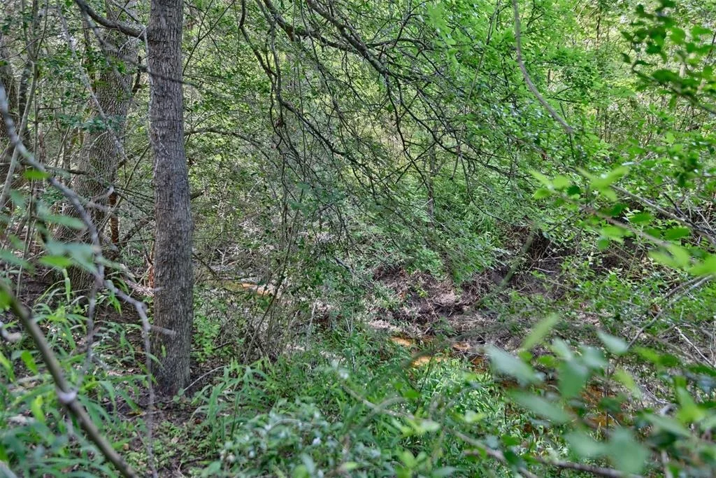 Photo of 3101 Creekside Drive