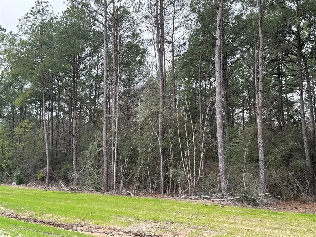 Photo of 10627 Devotion Road