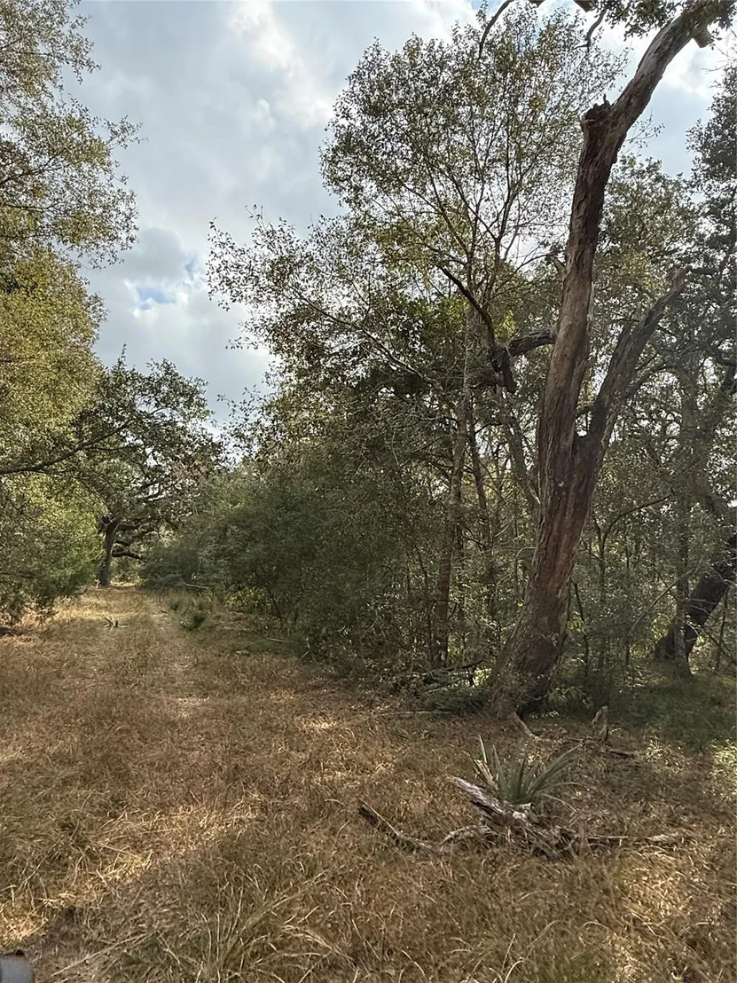 Photo of 0 Fm-1459