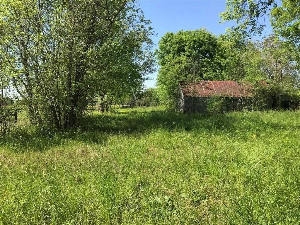 Photo of 8002 County Road 172