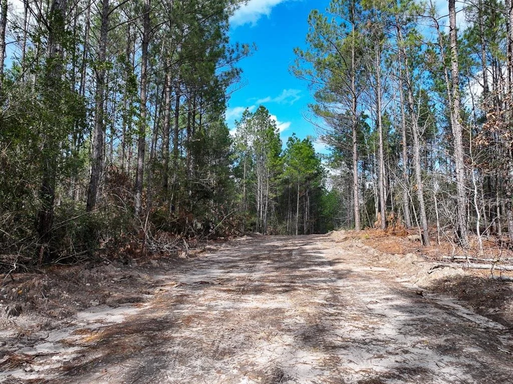 Photo of TBD Off Fm 355